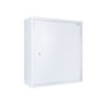 Controlled Drugs Cabinet | 860mm (H) x 760mm (W) x 310mm (D) | SA103