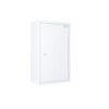 Controlled Drugs Cabinet | 850mm (H) x 500mm (W) x 300mm (D) | SA1035