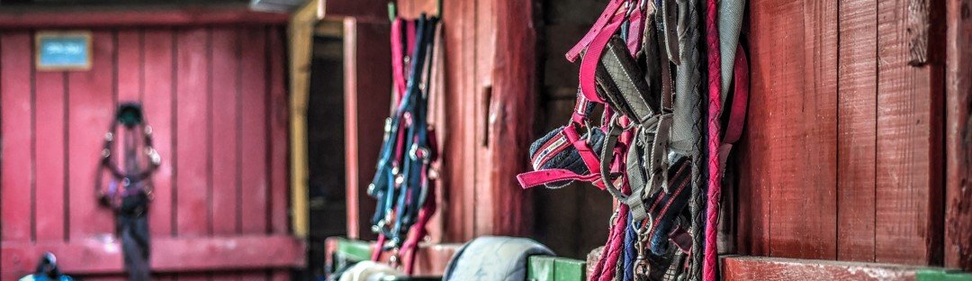 Tack and stables image with horse riding equipment