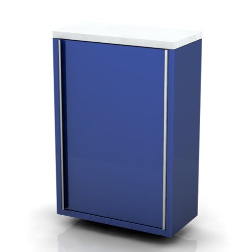 Wall Cupboard | 600mm Wide