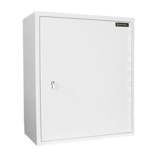 Medicine Cabinet | 600mm H x 600mm W x 300mm D