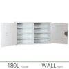 Medicine Cabinet | 600mm H x 1000mm W x 300mm D