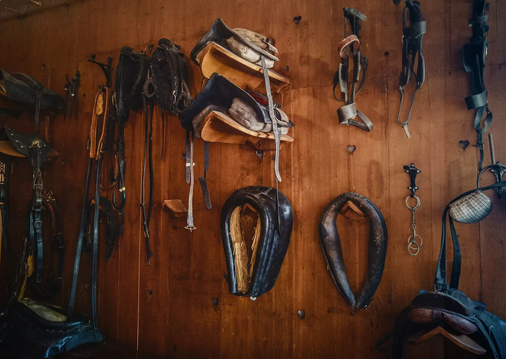 Saddles and tack hanging on the wall in an equestrian setting