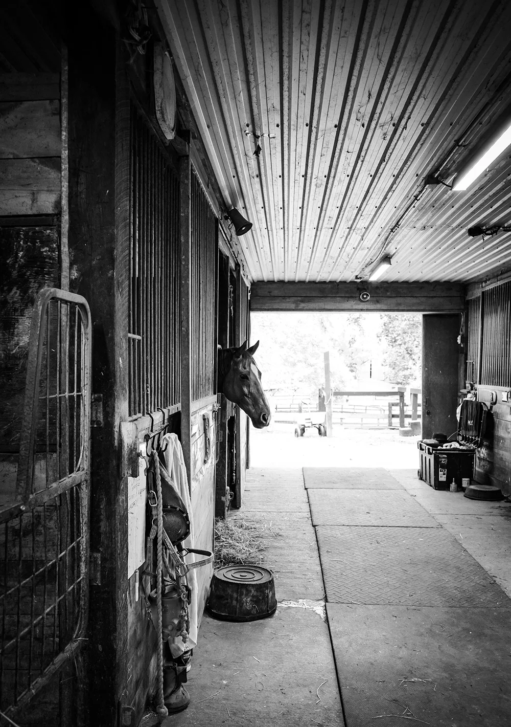image of a stable block with tack and a horse