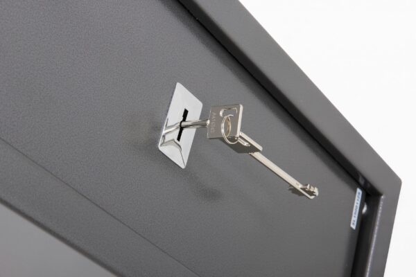 Gun Cabinet | 1 Gun | Phoenix Lacerta GS8000K