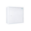 Controlled Drugs Cabinet | 600mm (H) x 600mm (W) x 300mm (D) | SA663